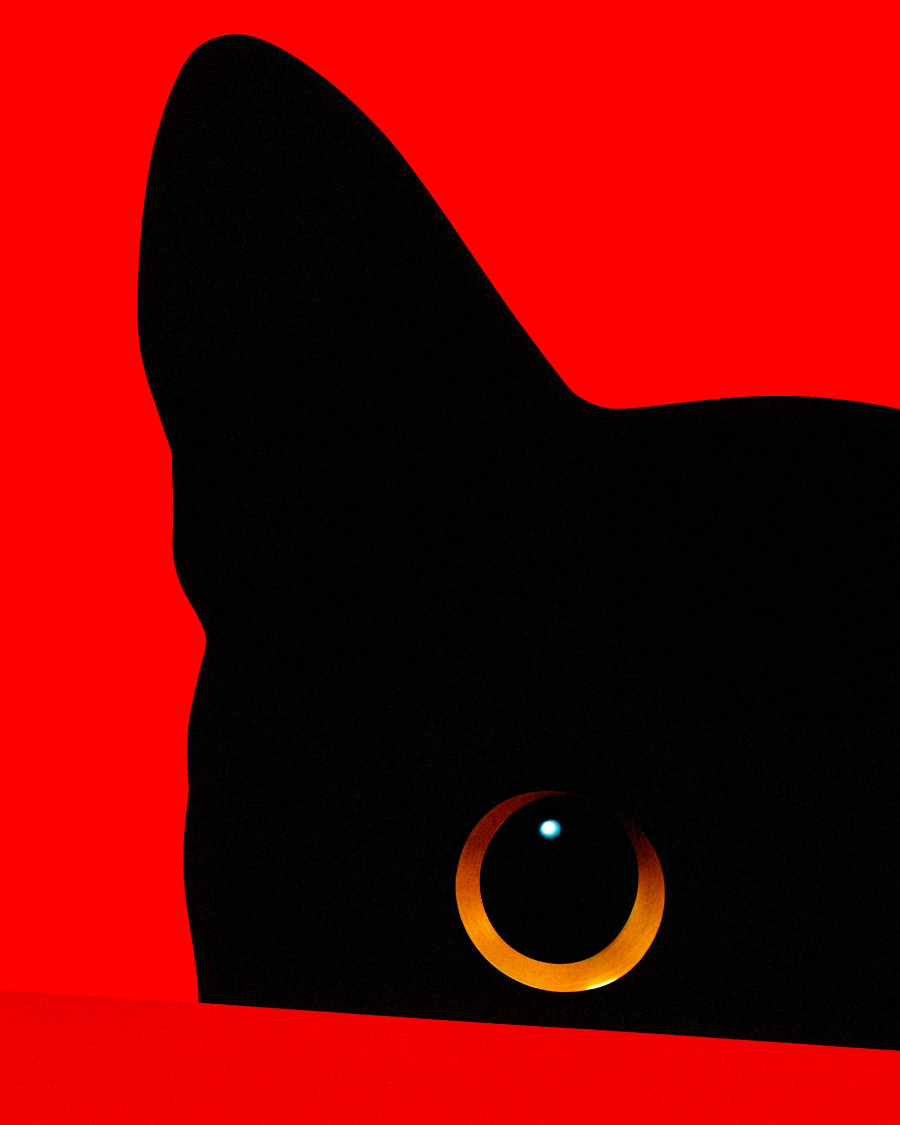 赤い壁の後ろの猫 - ポスター