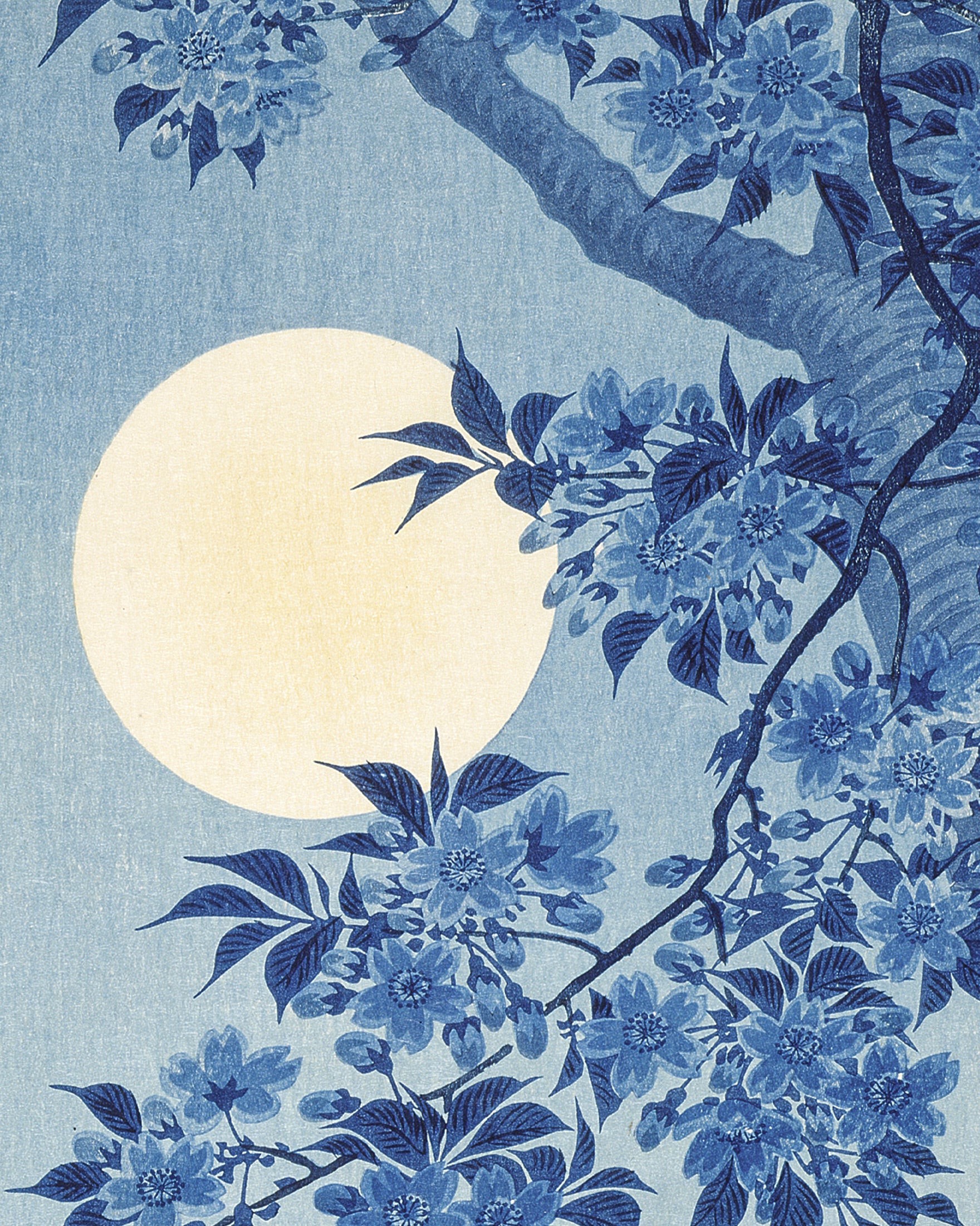 月明かりの夜に咲く桜、小原古邨 - ポスター