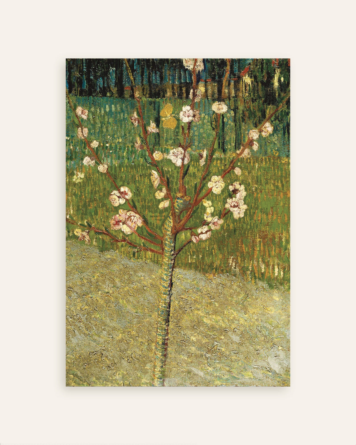 フィンセント・ファン・ゴッホ《花咲くアーモンドの木》（1888年）のポスターのサムネイル