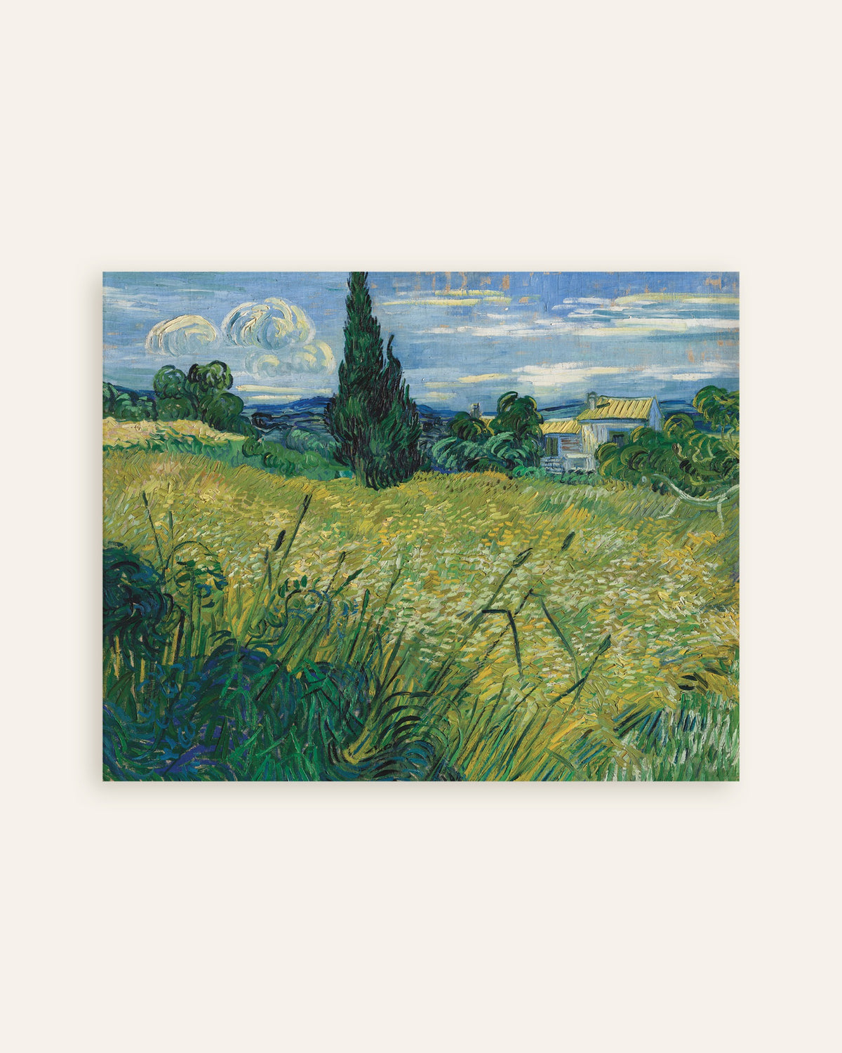 Poster of Green Wheat Field with Cypress (1889) by Vincent van Gogh, thumbnail
