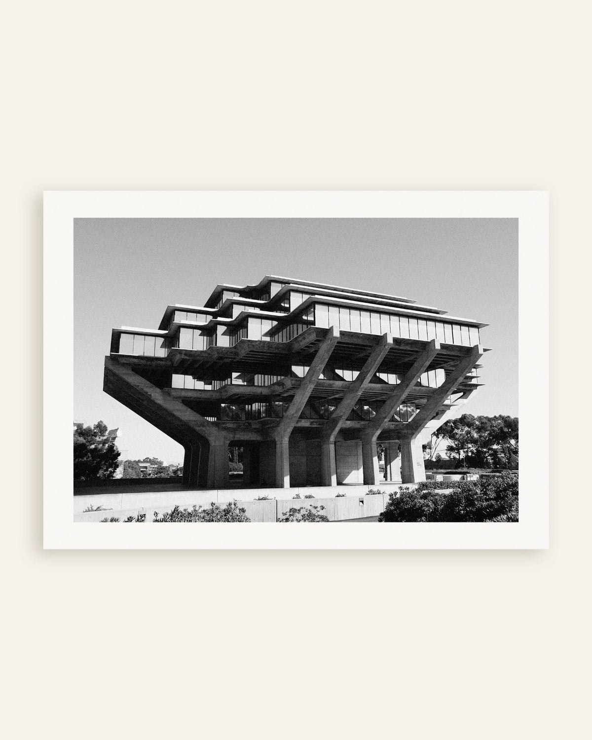 「コンクリートの柱の上に建つ図書館」のポスターのサムネイル