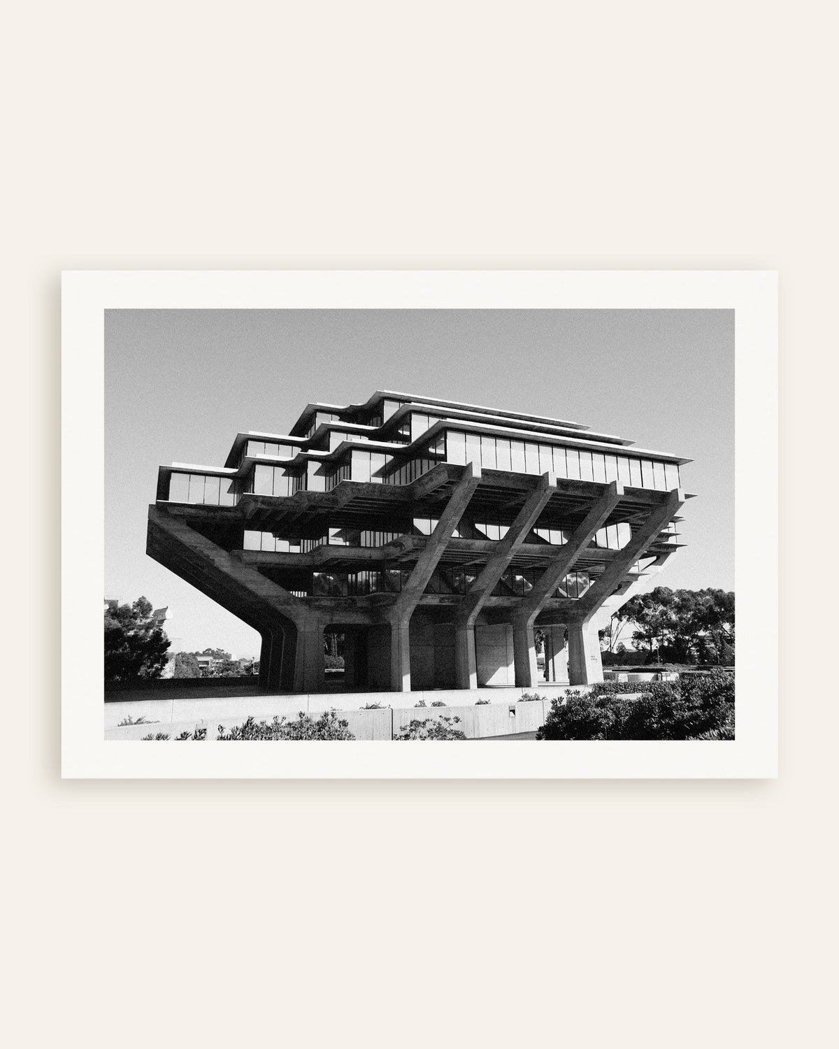 「コンクリートの柱の上に建つ図書館」のポスターのサムネイル